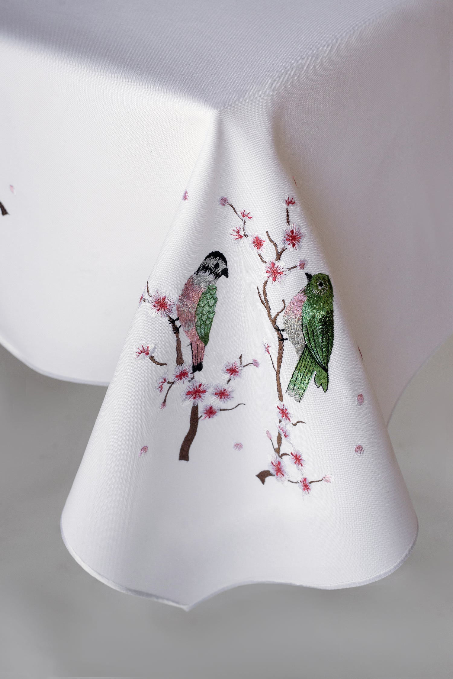 Birds