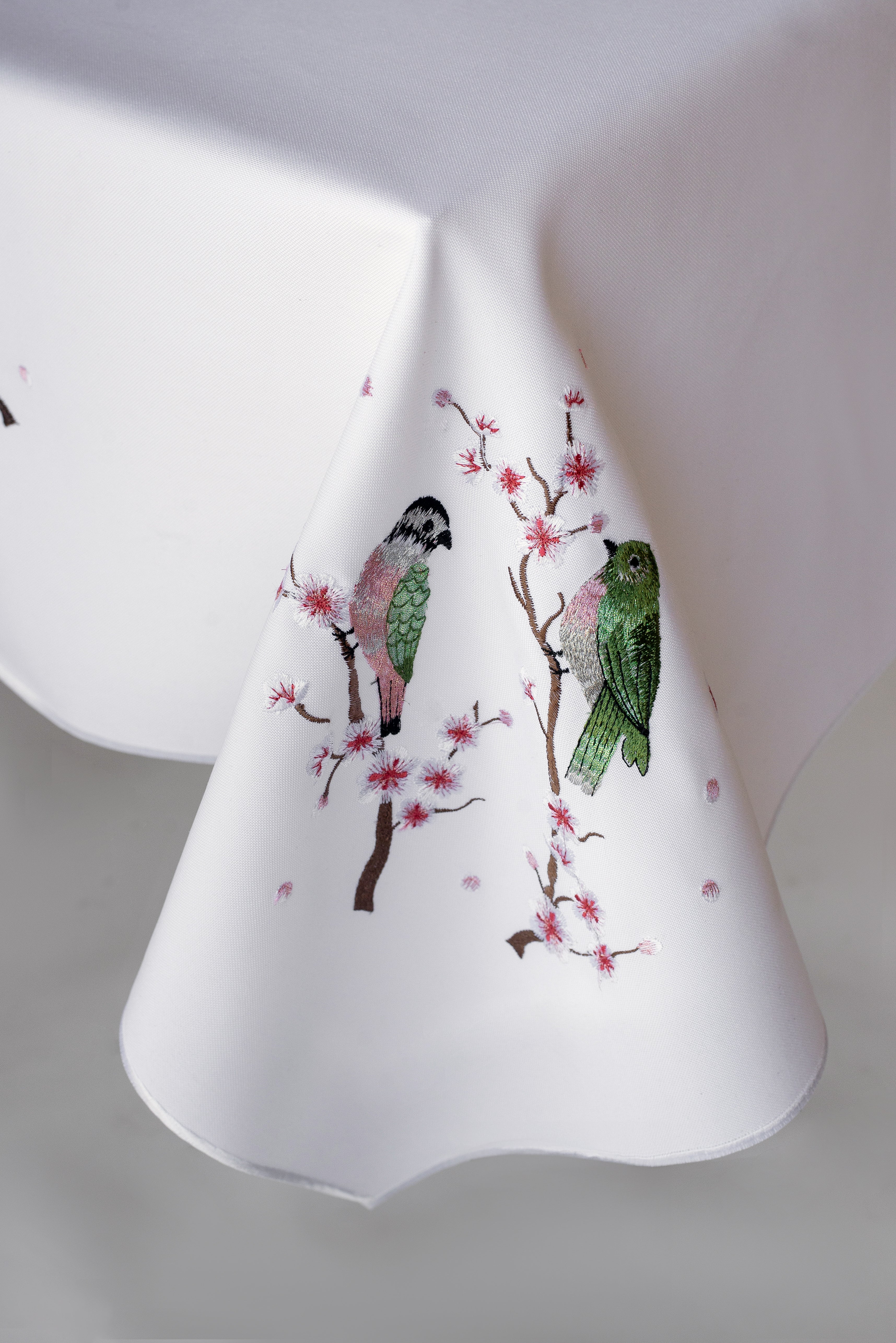 Birds